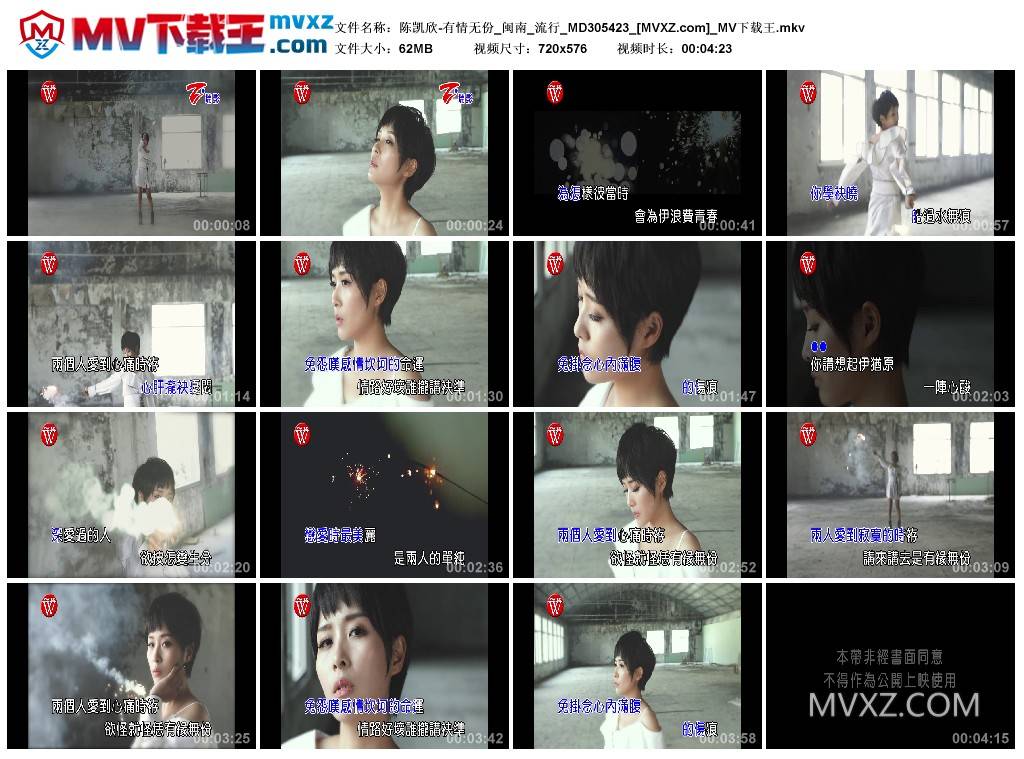 陈凯欣-有情无份_闽南_流行_MD305423